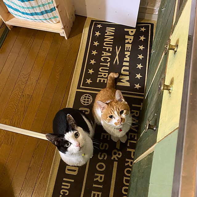 SHIHOさんの実例写真