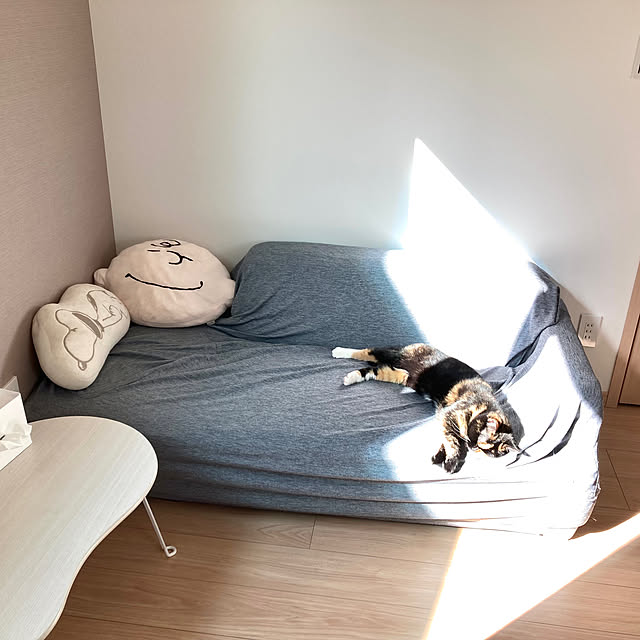 kirinsanさんの実例写真