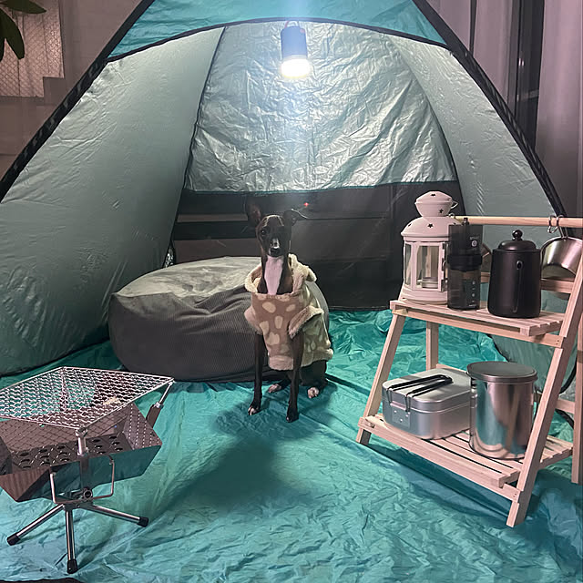 TAMAさんの実例写真