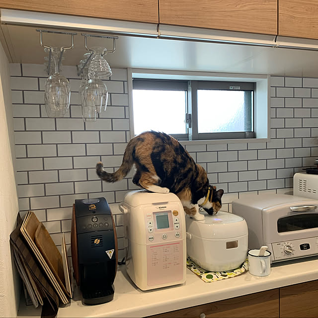 neconeko1202さんの実例写真