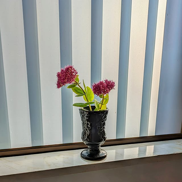 Renさんの実例写真