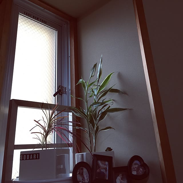 tenさんの実例写真
