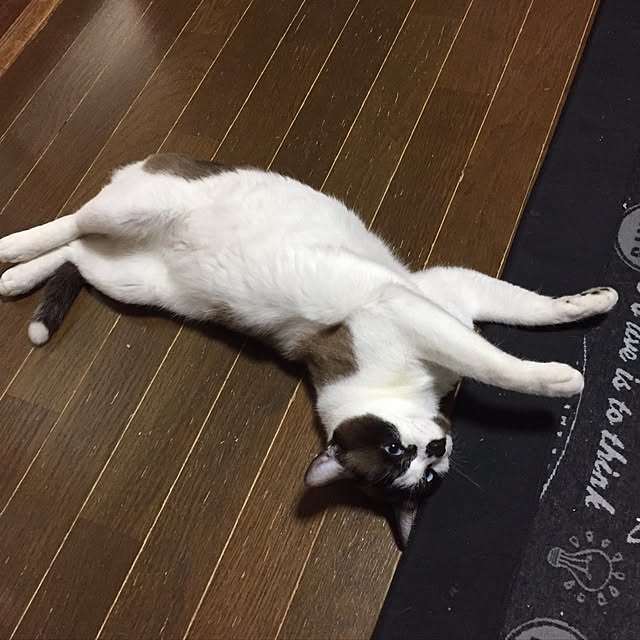 vivienne.coco-keiさんの実例写真