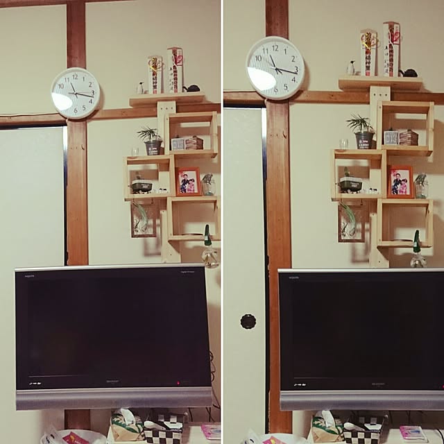 cocosatsuさんの実例写真