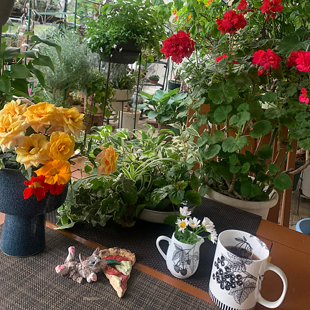 Aqettyさんの部屋