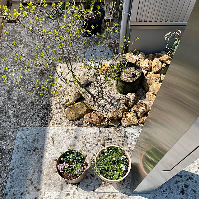 miraiiさんの部屋