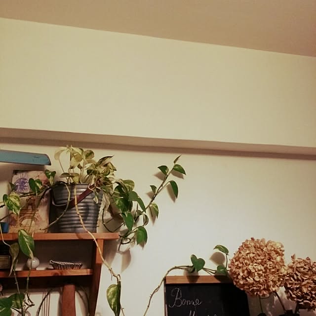 airinaさんの実例写真