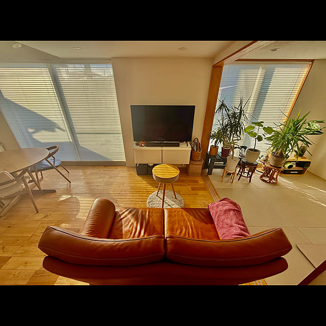 tamabaka1971さんの部屋