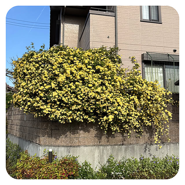 tomoさんの部屋