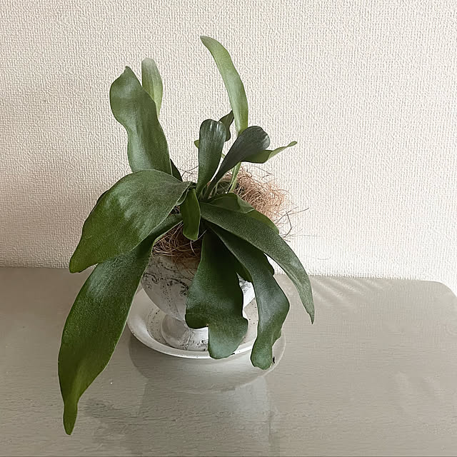 murさんの実例写真