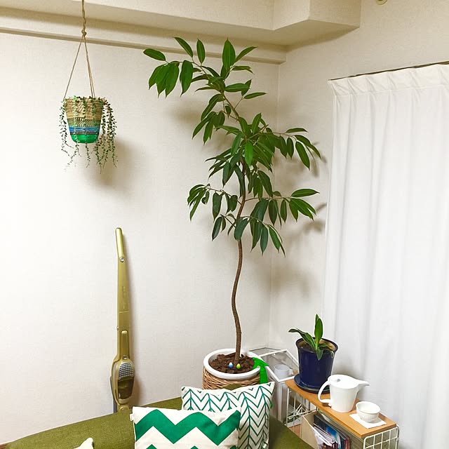 shirokinaさんの実例写真