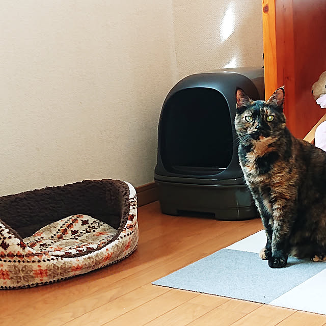H23さんの実例写真