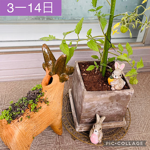 aureaさんの実例写真
