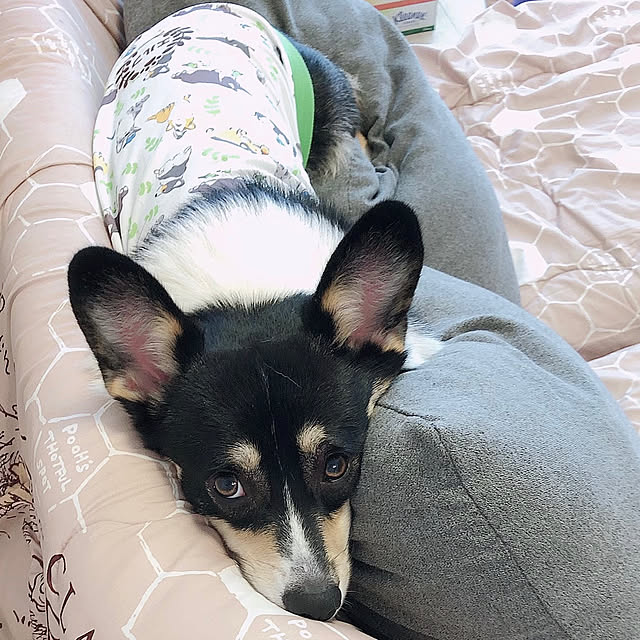Ruiさんの実例写真