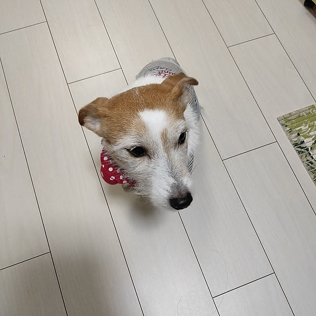 marosukeさんの実例写真