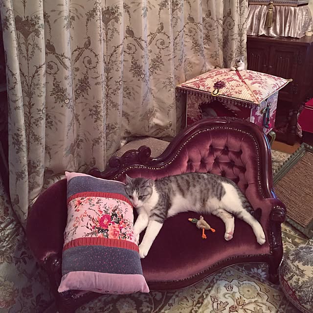 emmyyさんの実例写真