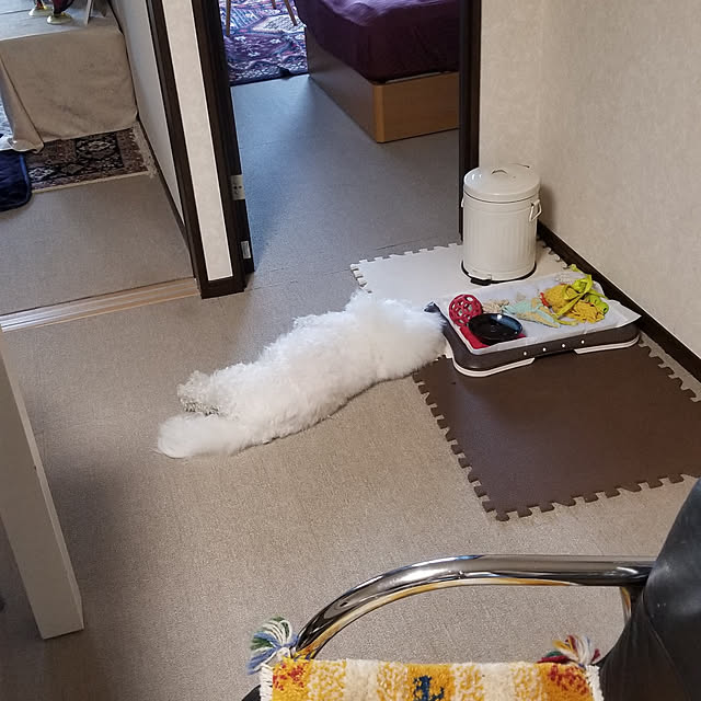takoさんの実例写真