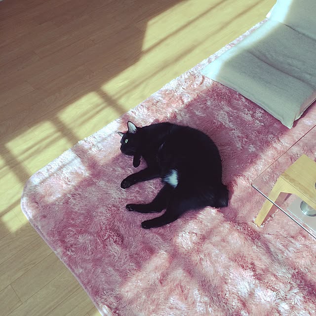 Tomoさんの実例写真