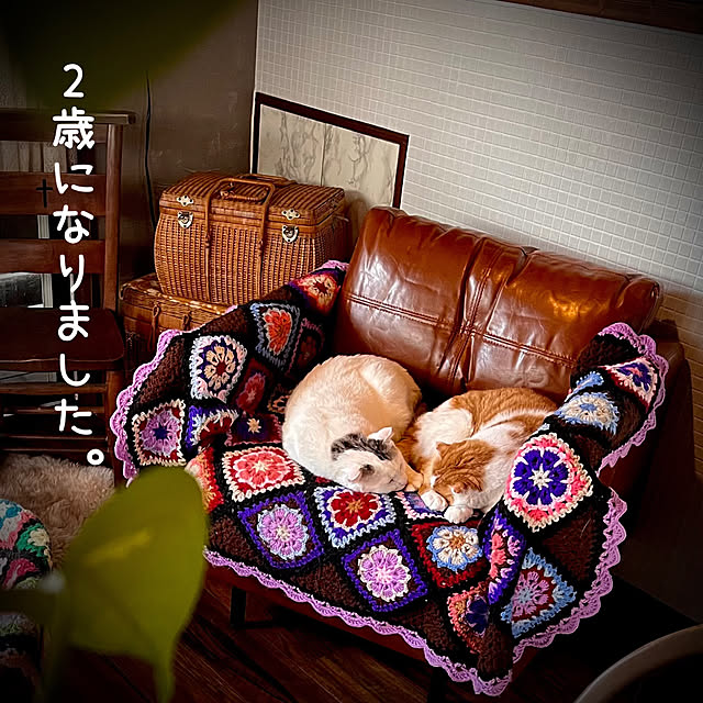 marusanさんの実例写真
