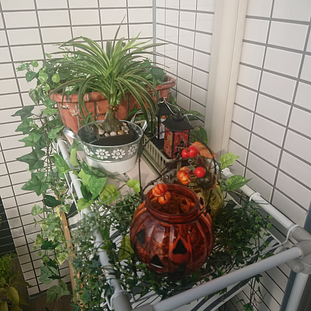 dorami0627さんの実例写真
