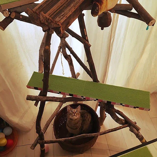 Mさんの実例写真