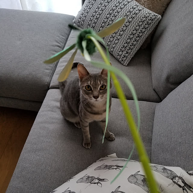 yukiさんの実例写真