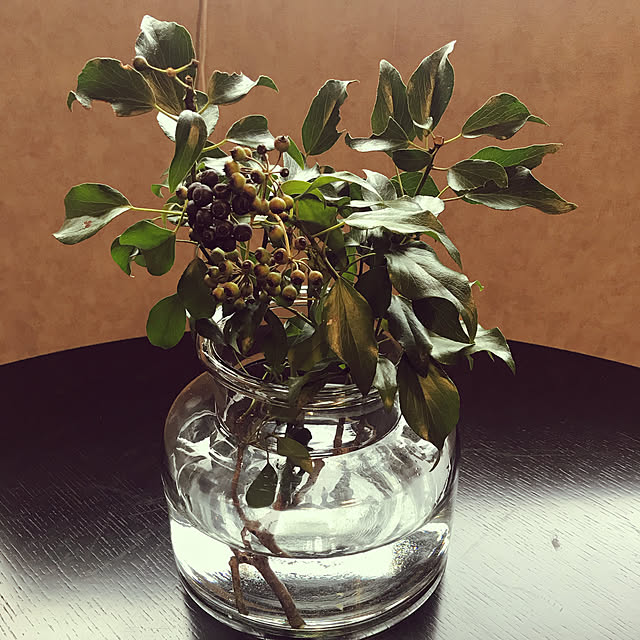 tititomyuさんの実例写真