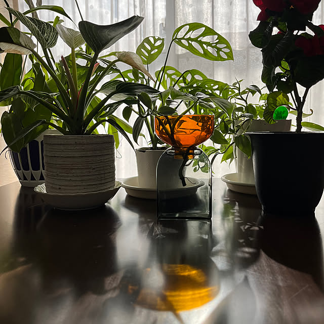 miさんの部屋