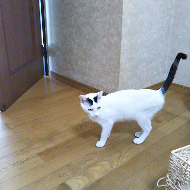 yukieさんの実例写真