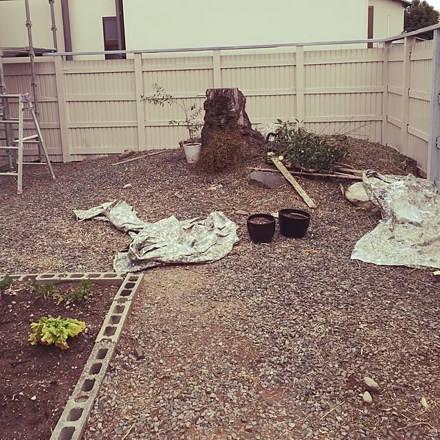 mitubachiさんの実例写真