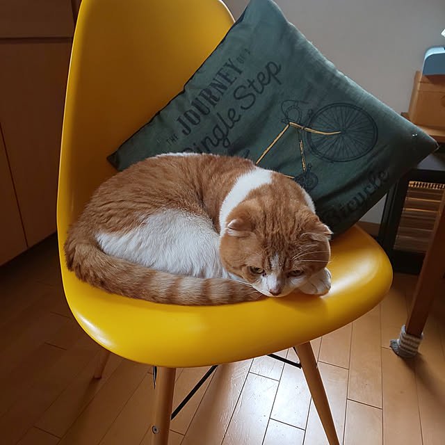 0617さんの実例写真