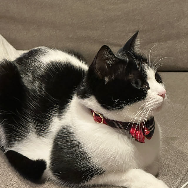 santar222さんの部屋