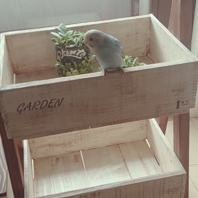kenshuさんの実例写真