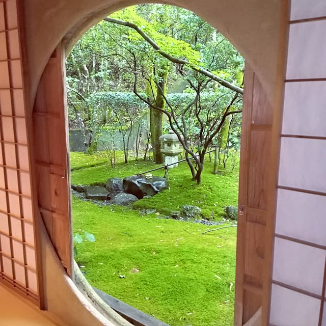 mocomocoさんの部屋