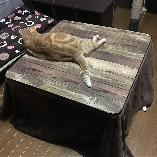 ayuminさんの実例写真