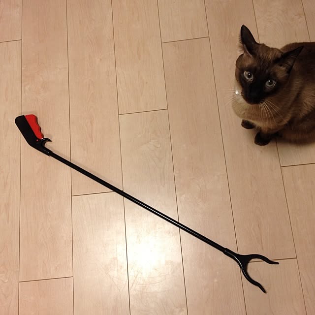 dodoさんの実例写真