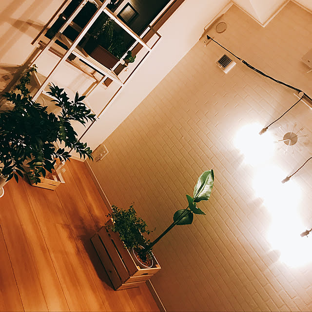 mo-pzpazさんの実例写真
