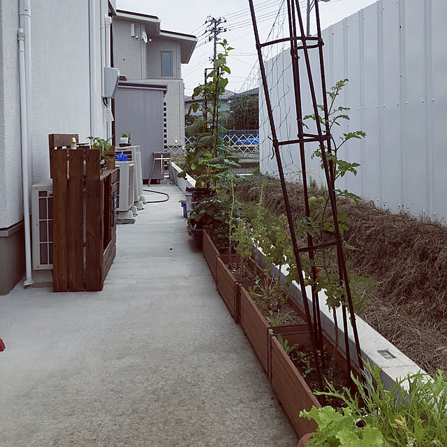 rsarhhさんの実例写真