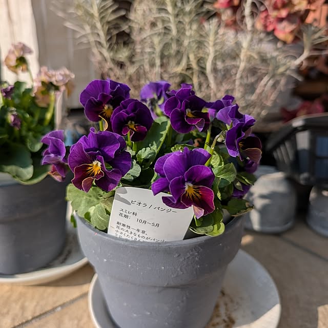 KOHAKUさんの実例写真