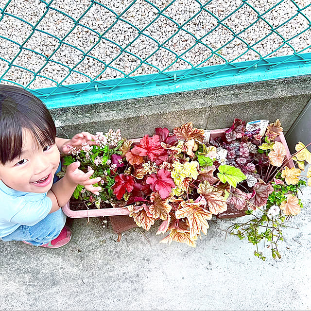 hinamamaさんの部屋