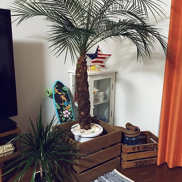 Tomominさんの実例写真