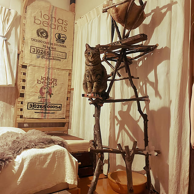Mさんの部屋