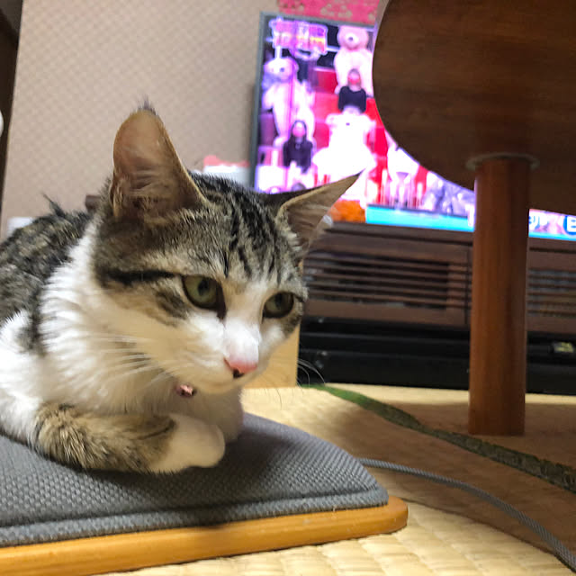 nacchi4さんの実例写真