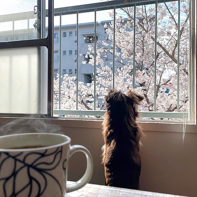 rueさんの実例写真