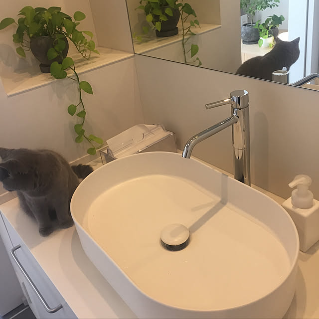 ____ayumismさんの実例写真