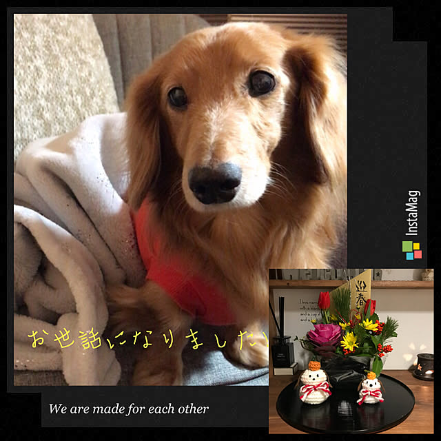 ram_mamaさんの実例写真