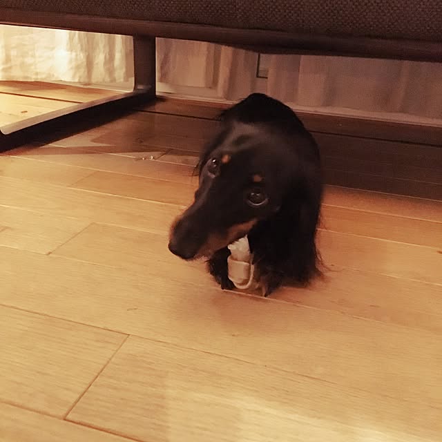 rathrathさんの実例写真