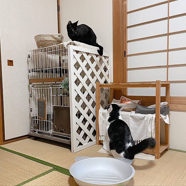 harukaさんの実例写真