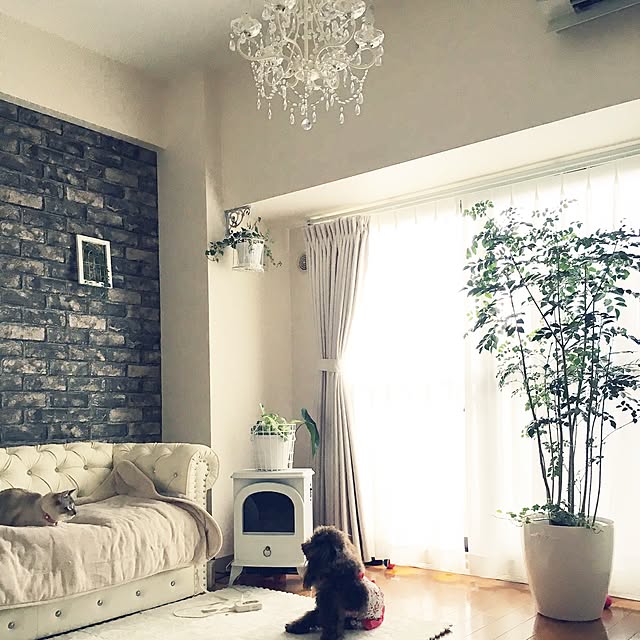 noelさんの実例写真