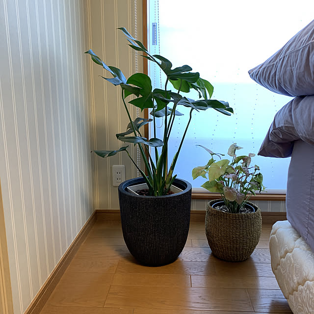 mama_sanさんの実例写真